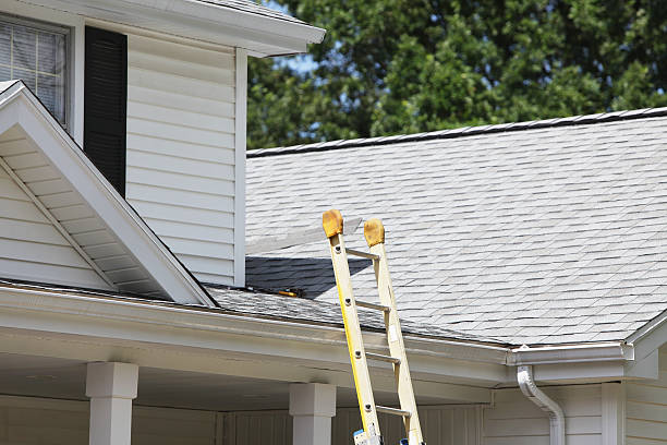 Best Shed Removal  in Secaucus, NJ